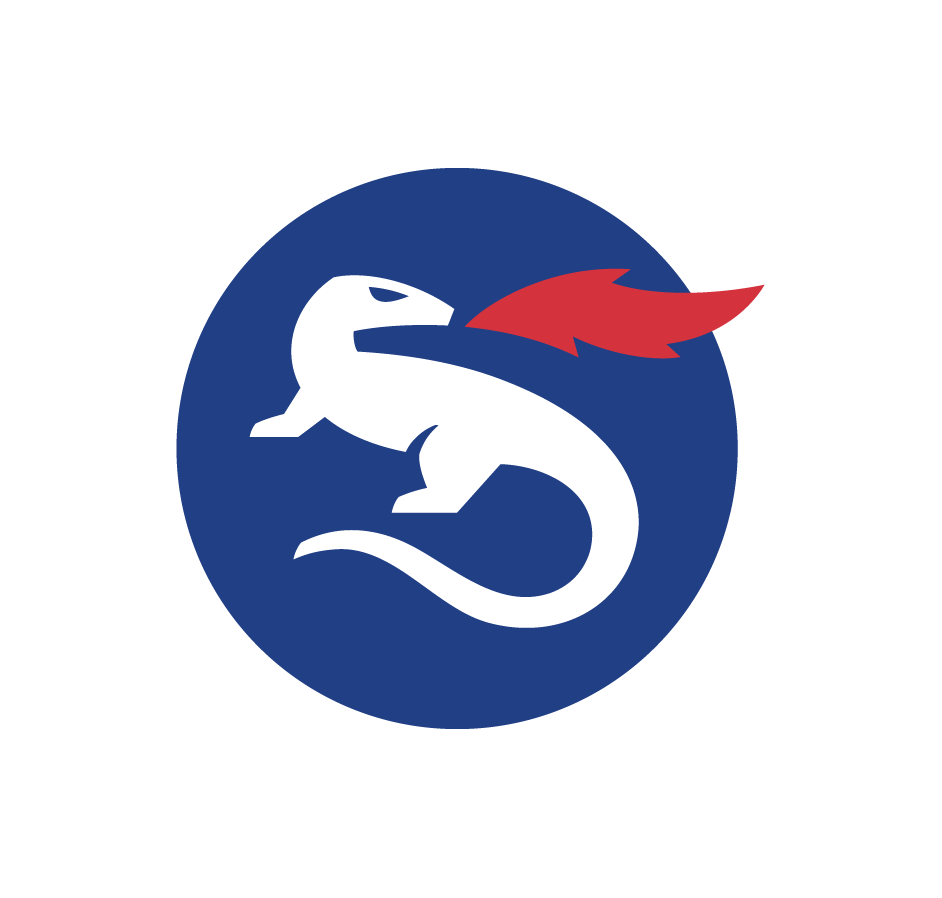 CNIE Logo